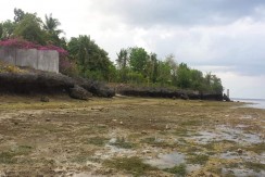 Beach Lot for Sale in Alcoy, Cebu